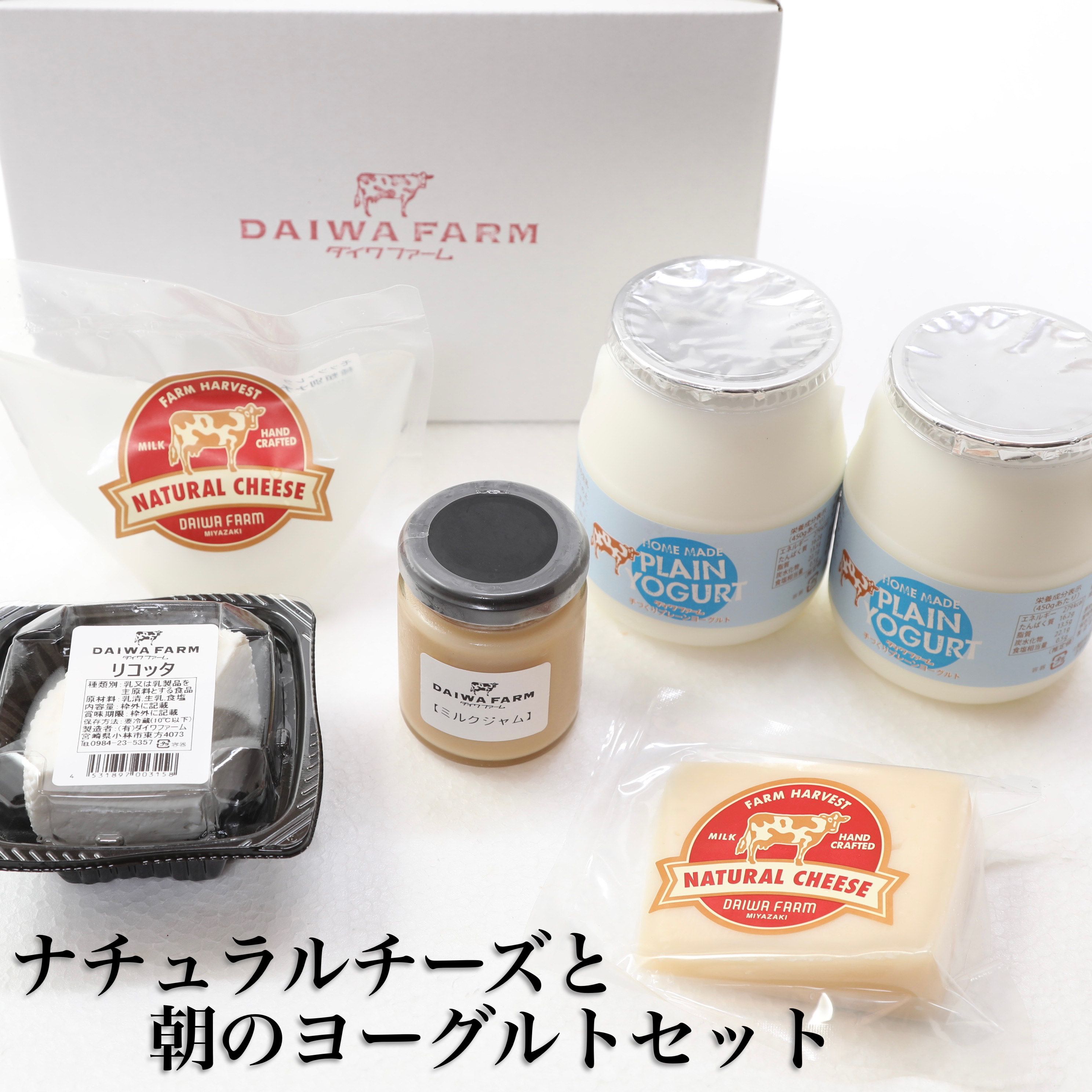 【朝どれミルク使用】ナチュラルチーズと朝のヨーグルトセット（国産 ナチュラルチーズ 乳製品 チーズ コンテスト受賞 ヨーグルト 人気 霧島 宮崎 小林市 地域限定）