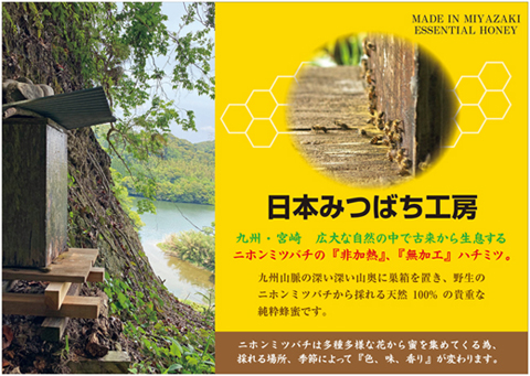 【山奥で採れる天然地蜜】天然100％純粋蜂蜜 600g