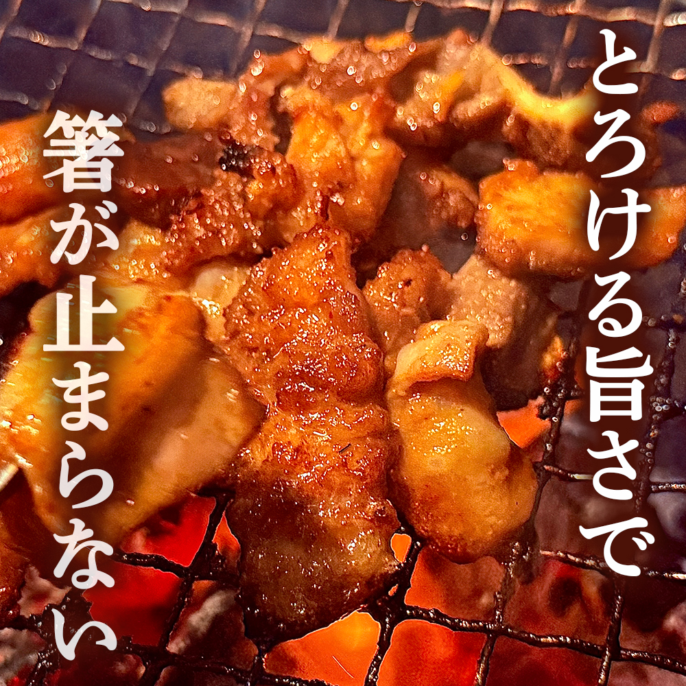 【数量限定】漬け赤ホルモン620g コリコリミックス（210g×2P）ふわふわ牛腸（200g×1P） 焼肉 BBQ 人気 ホルモン ホルモン焼き ホルモン肉 味付きホルモン 味付けホルモン 味付き肉 ほるもん 焼肉用ホルモン 冷凍ホルモン
