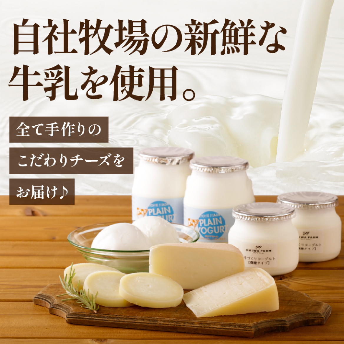【国内外コンテスト受賞！】奇跡のチーズセット（国産 ナチュラルチーズ 乳製品 チーズ コンテスト受賞 人気 霧島 宮崎 小林市 地域限定）