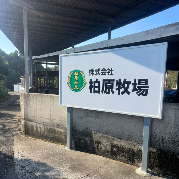【自社農場宮崎牛】柏原和牛ヒレブロック 3キロ以上（国産 牛肉 お肉 黒毛和牛 ヒレ 赤身 A4 A5 ブロック）