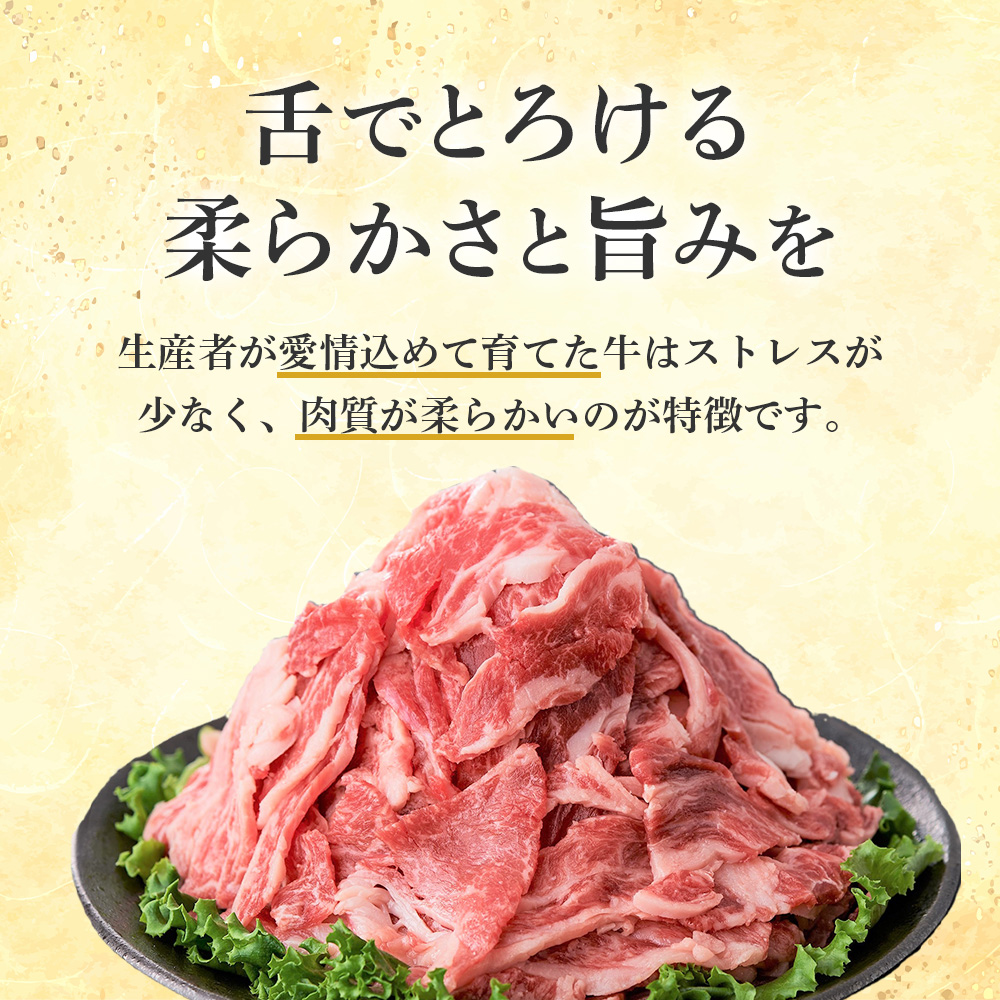 国産黒毛和牛切り落とし 2.4kg （ 国産 牛 牛肉 黒毛和牛 切り落とし 真空 小分け 冷凍 宮崎県 小林市 ）