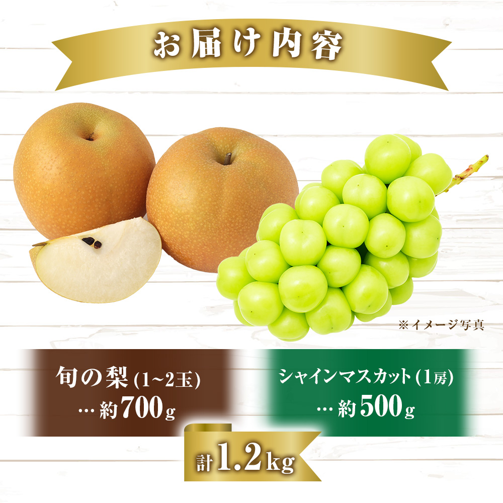 シャインマスカットと梨のセット 計1.2kg（フルーツ 果物 くだもの ブドウ ナシ 旬 2026 贈答用 限定 産地直送）