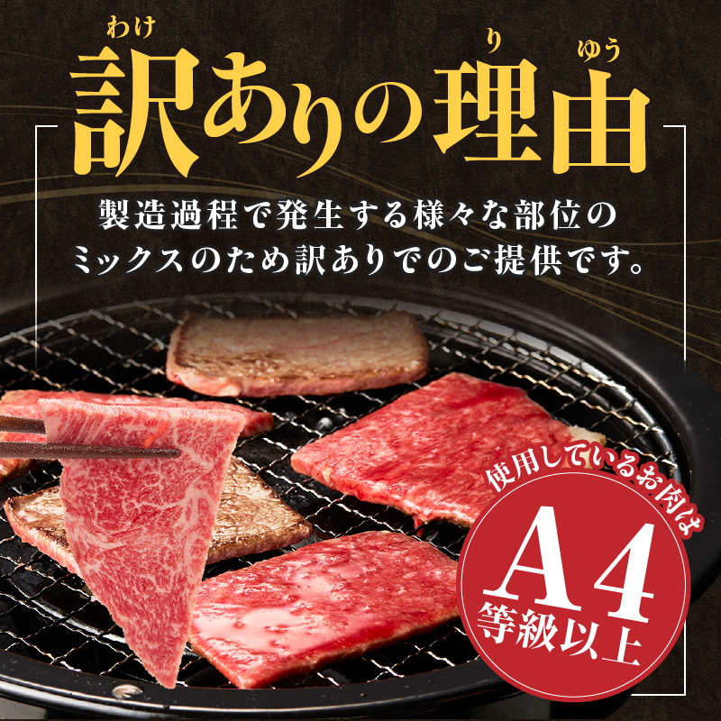 A4等級以上 宮崎牛 訳あり 焼肉 バラエティパック おためし500g（牛肉 肉 お肉 黒毛和牛 宮崎牛 ブランド牛 内閣総理大臣賞4大会連続受賞）
