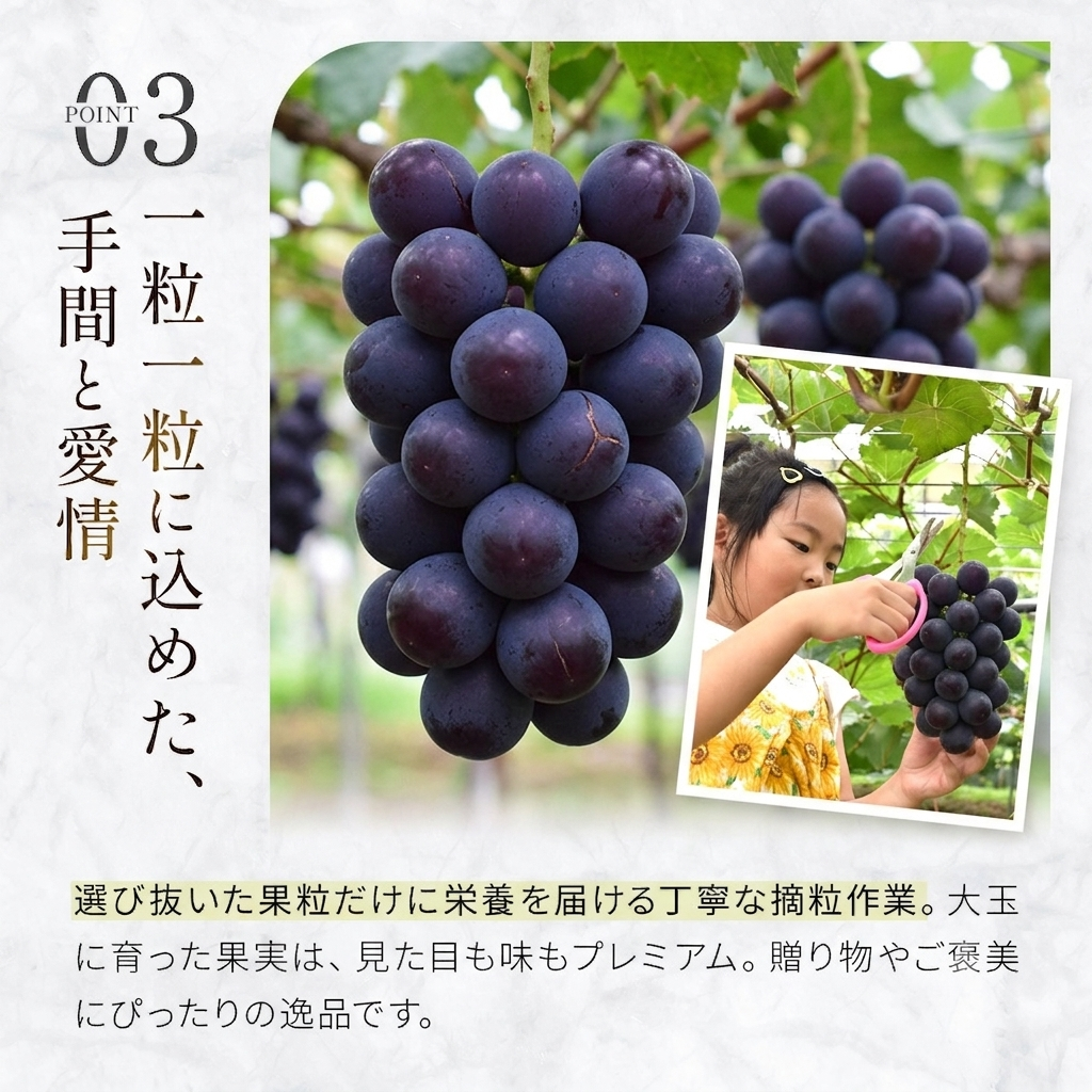 大粒・種なし ピオーネ（ニューピオーネ）1kg ぶどう 葡萄 フルーツ