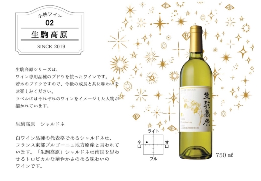 【高原の白ワイン】シャルドネ（辛口）　1ダース（ワイン シャルドネ お酒 酒 アルコール 白ワイン 瓶 ダース）