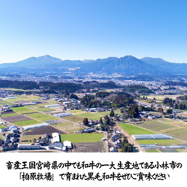 【自社農場和牛】メス指定黒毛和牛ハラミ　300g（国産 黒毛和牛 牛肉 ハラミ 焼肉 BBQ 冷凍 送料無料）