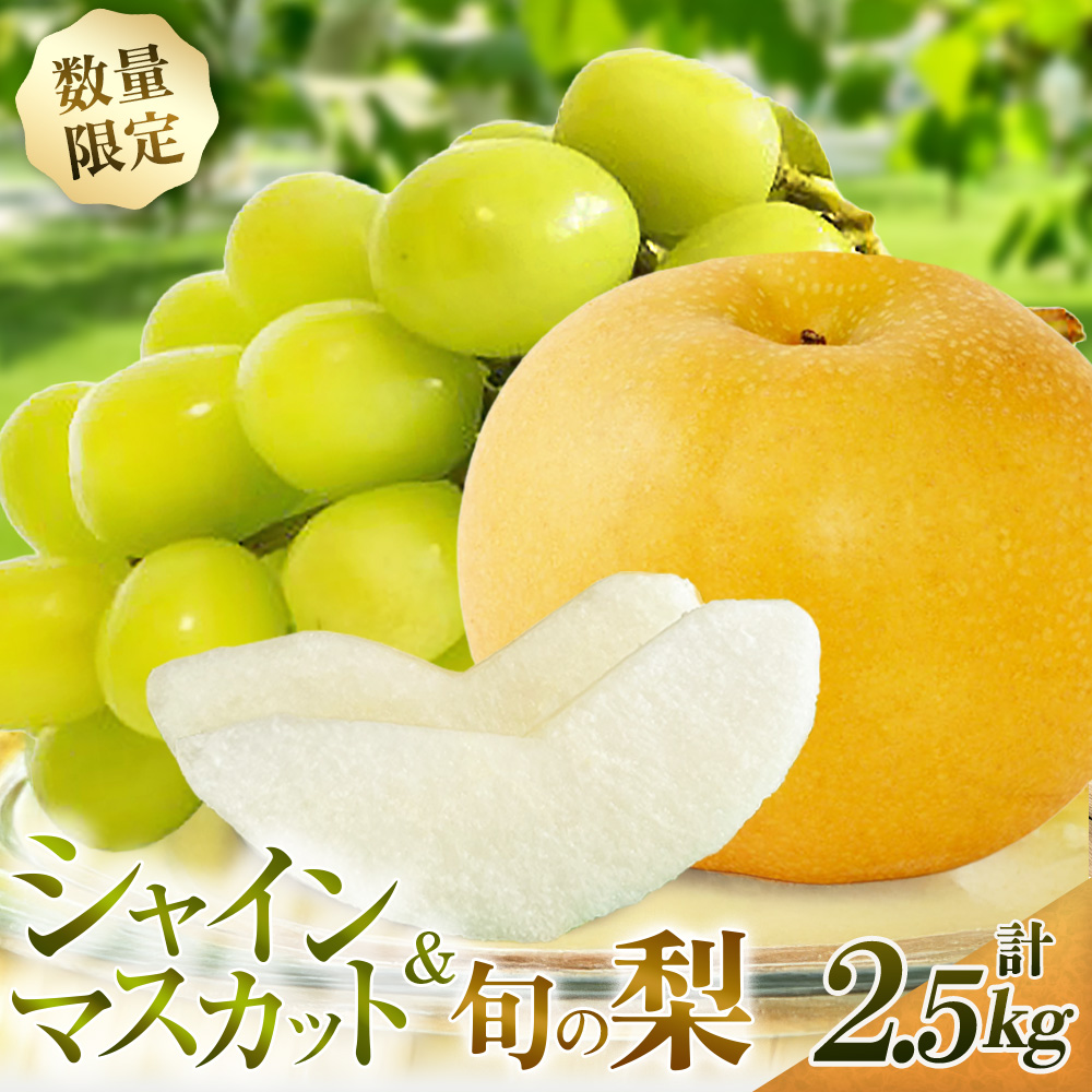 【期間限定】旬の梨とシャインマスカット 食べ比べセット 約2.5kg(ぶどう フルーツ 果物 詰合せ フルーツセット 果物セット 豊水 新高 新興) ANA名称
