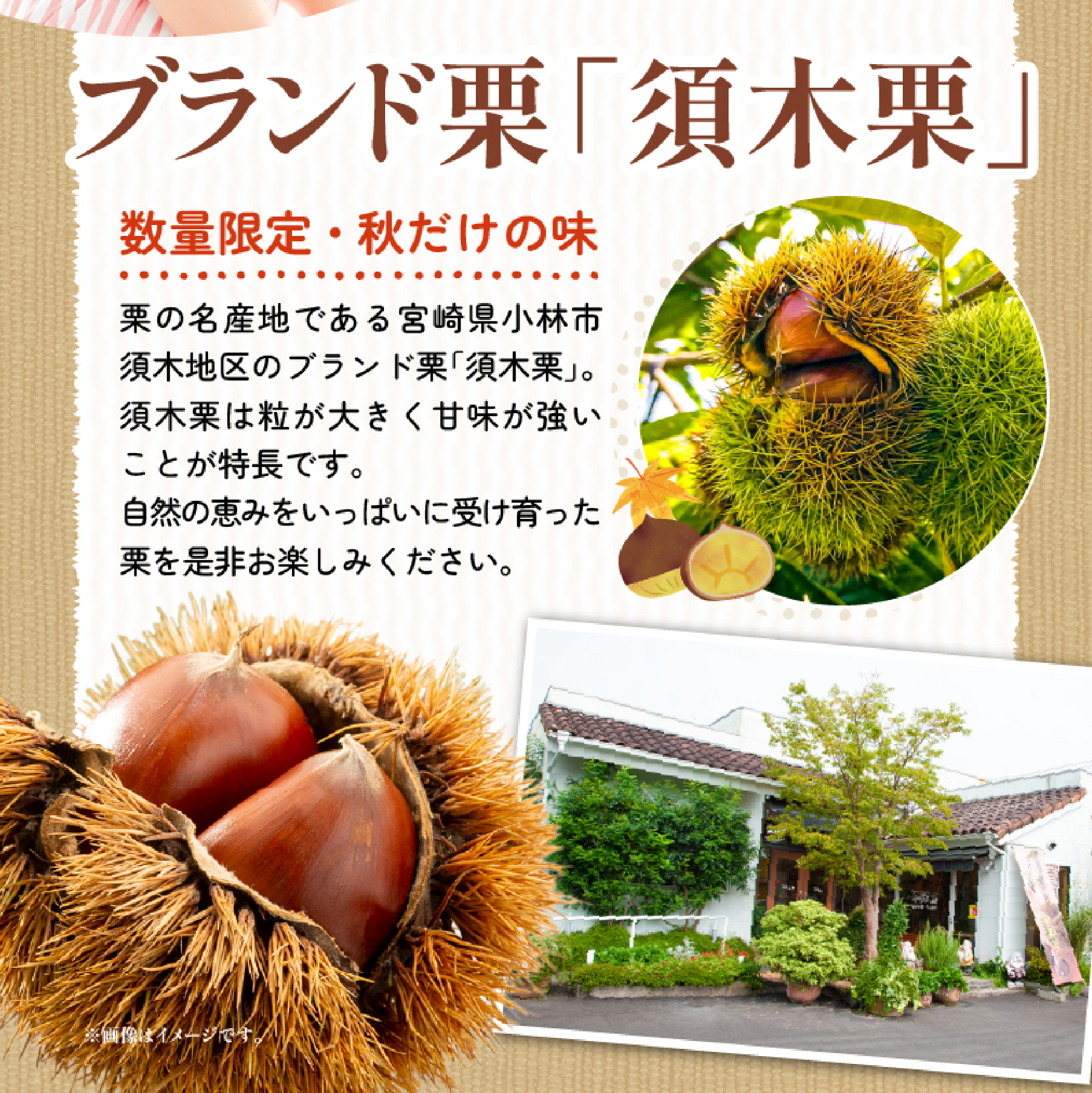 【予約注文品・秋頃から発送】ごろごろ須木栗の贅沢テリーヌ（栗 マロン お菓子 人気 スイーツ ギフト 贈答用 数量限定）