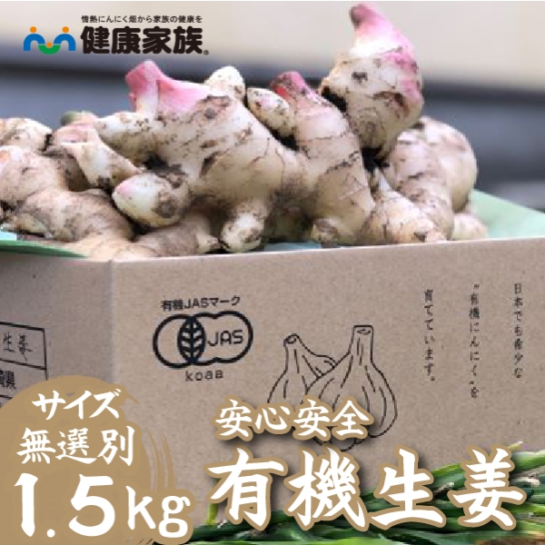 【オーガニック】有機生姜 1.5kg（しょうが ショウガ 有機JAS 野菜）