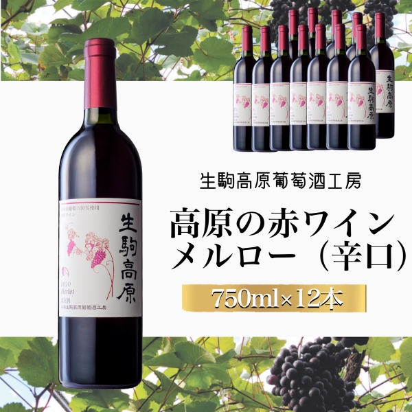 【高原の赤ワイン】メルロー 1ダース（国産 宮崎 ワイン 赤ワイン 赤 お酒 酒 アルコール ダース）