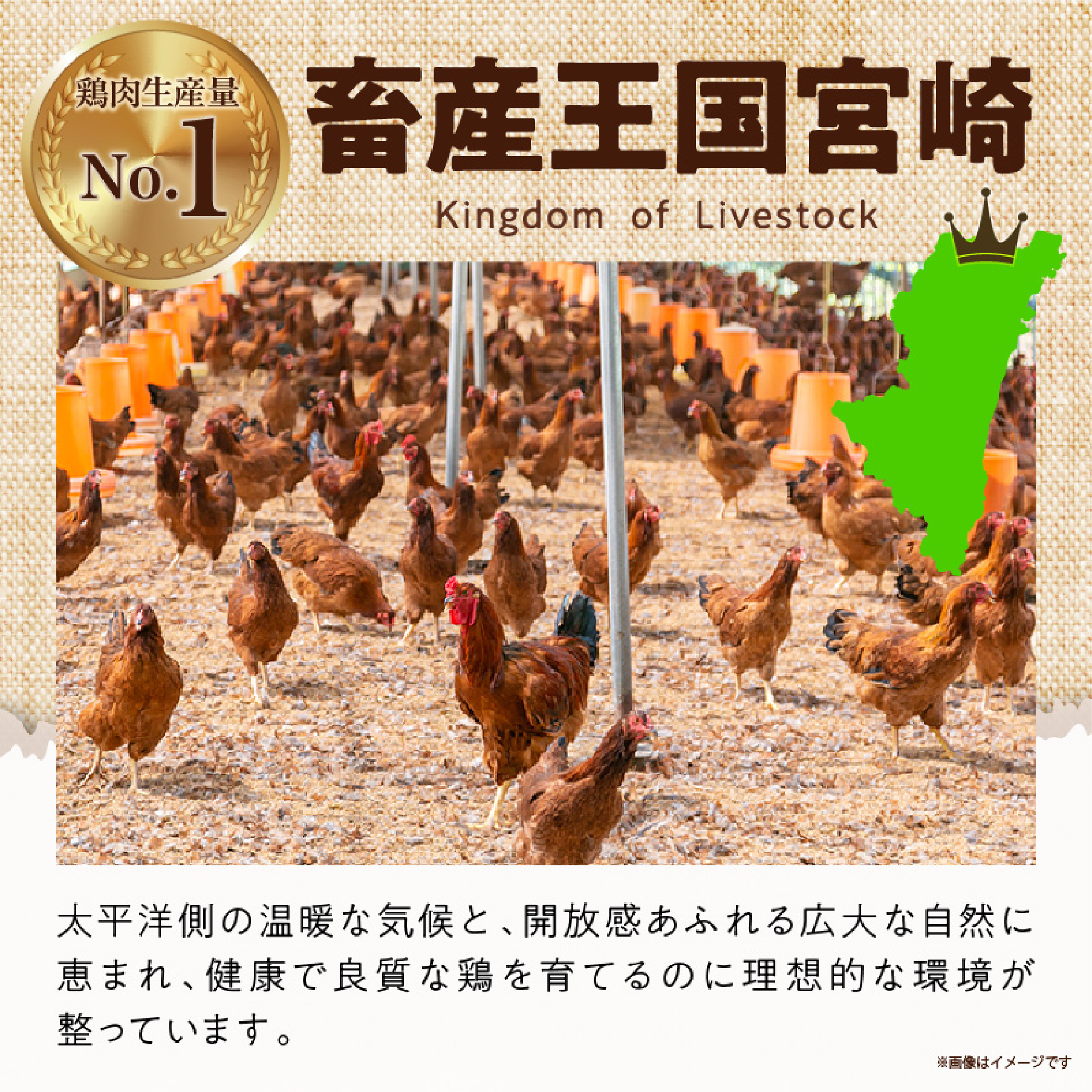 【業務用】宮崎県産若鶏もも肉 むね肉 大容量パック 計8kg 国産 鶏肉 若鶏 もも肉 むね肉 冷凍 詰め合わせ セット 大容量 業務用 お徳用