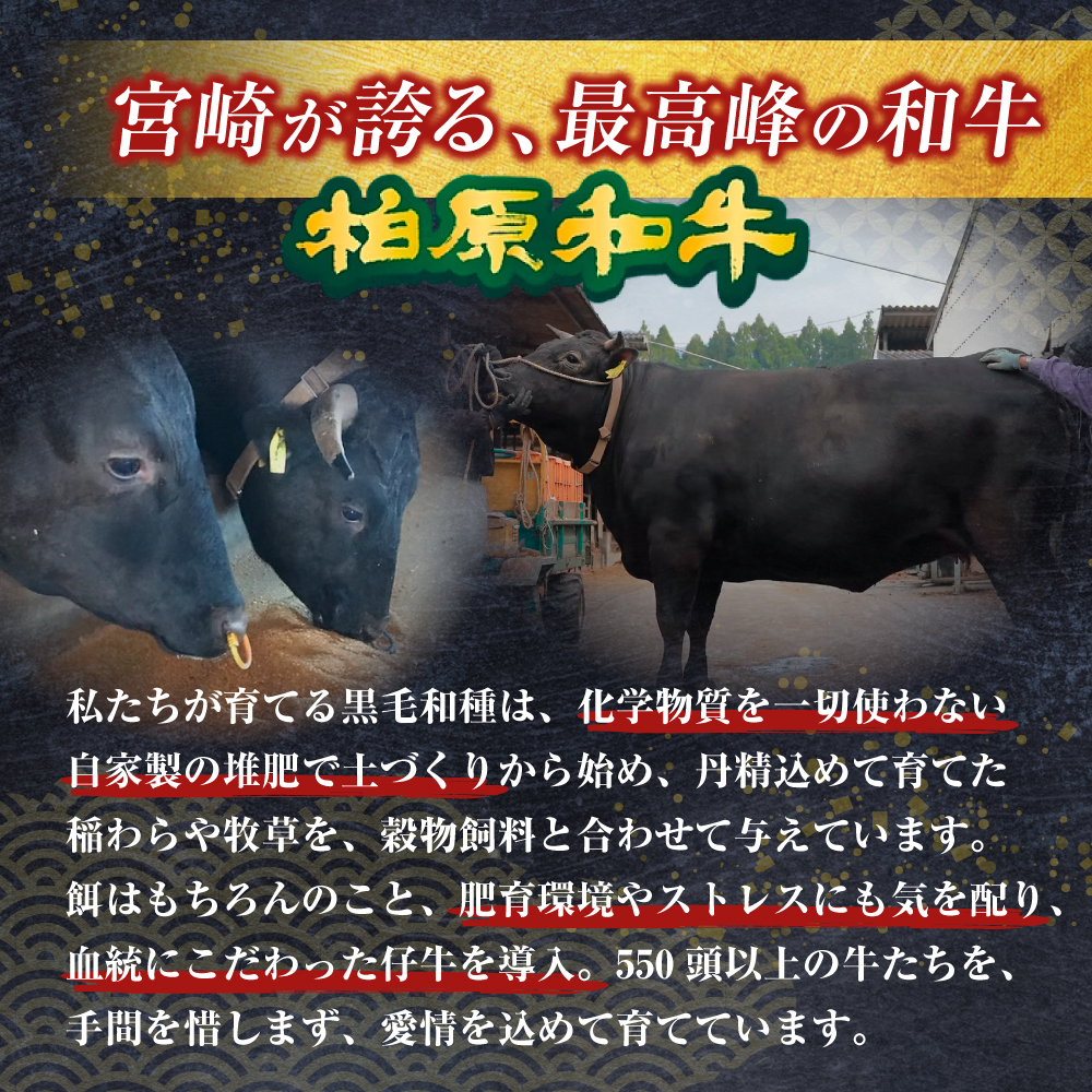 【自社農場和牛】黒毛和牛 特製塩だれミックスホルモン 720g （国産 黒毛和牛 宮崎牛 牛肉 塩だれ ホルモン ミックスホルモン 冷凍 宮崎県 小林市）