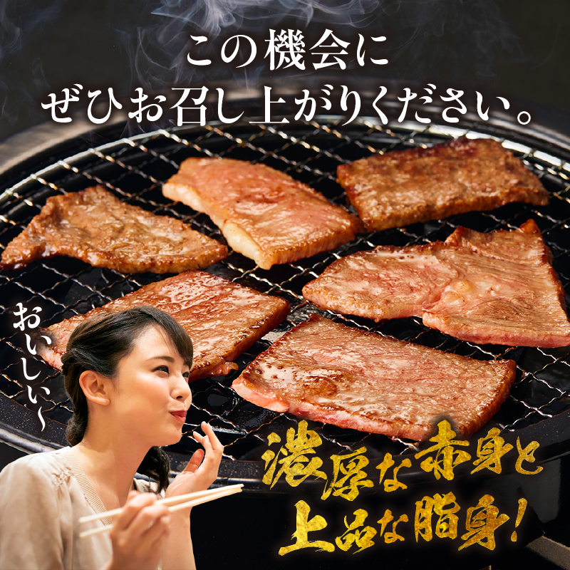 【A4等級以上】宮崎牛焼肉用 200g×4P 計800g（内閣総理大臣賞 A4 A5 宮崎牛 牛肉 黒毛和牛 赤身 霜降り 焼肉 モモ ロース 宮崎県）