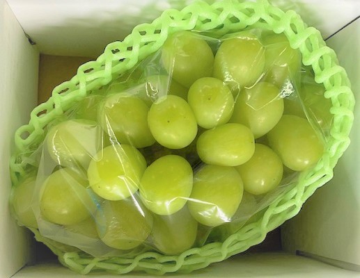 【先行予約受付・産直もぎたて】ご褒美シャインマスカット２房（約1.1kg ブドウ シャインマスカット 先行 予約 産地直送 新鮮 送料無料）
