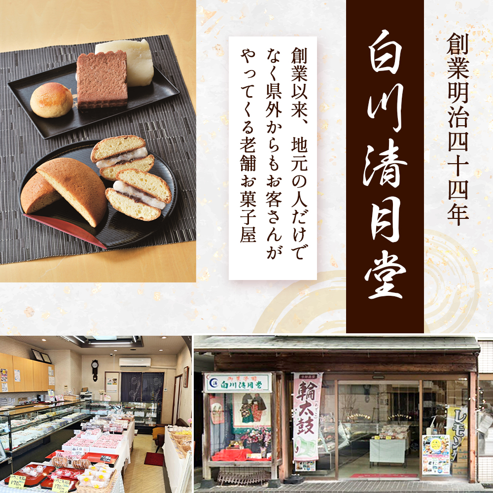 【地元銘菓】輪太鼓（わでこ） 10個入 （輪太鼓 わでこ 老舗 ブッセ お餅 餅 餡子 銘菓 お菓子 宮崎 小林市）