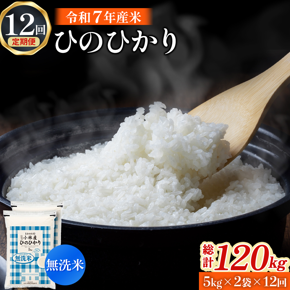 【令和7年産米】無洗米ヒノヒカリ 10kg×12回 お米 米 ヒノヒカリ 無洗米 定期便 令和7年産 国産 人気 お弁当 おにぎり 宮崎県 小林市