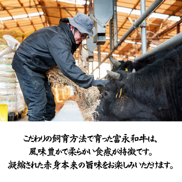 【自社牧場和牛】小林市産 黒毛和牛 赤身ステーキ 200g×3枚（牛肉 国産牛 黒毛和牛 和牛 赤身 ステーキ お肉 宮崎県）
