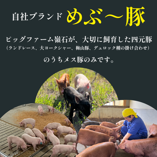 【地元ブランド豚】"めぶ～豚" 4種バラエティパック 計1.6kg（豚肉 豚 豚バラ とんかつ用 切り落とし こま切れ ミンチ 小分け）
