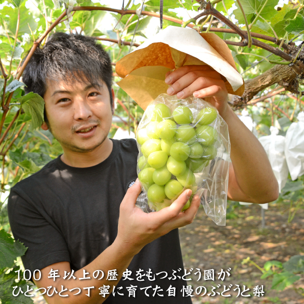 シャインマスカットと梨のセット 計1.2kg（フルーツ 果物 くだもの ブドウ ナシ 旬 2026 贈答用 限定 産地直送）