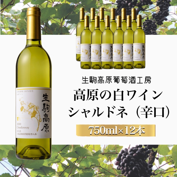 【高原の白ワイン】シャルドネ（辛口）　1ダース（ワイン シャルドネ お酒 酒 アルコール 白ワイン 瓶 ダース）
