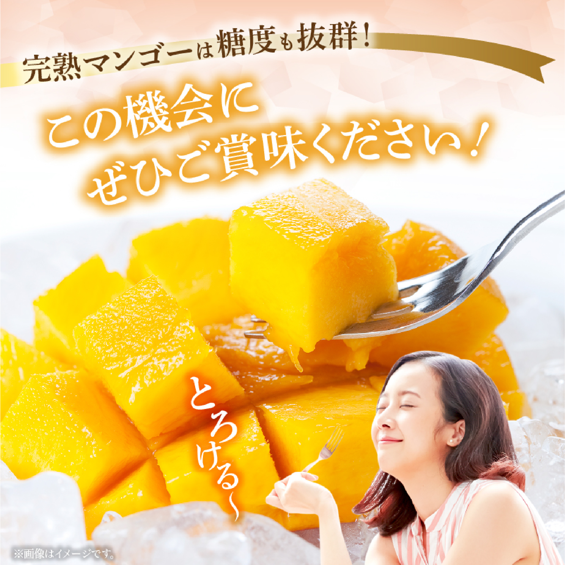 【2026年発送 先行予約】生産農家応援・濃厚果肉 みやざき完熟マンゴー 3L×2玉（マンゴー フルーツ アップルマンゴー 果物 くだもの 2026 先行受付 宮崎）