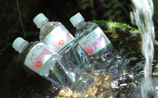 【ミネラルたっぷり天然中硬水】細野の天然水 555ml×24本 （国産 ナチュラルウォーター ミネラルウォーター 天然水 水 中硬水 シリカ 美容 人気 霧島 宮崎 小林市 送料無料）