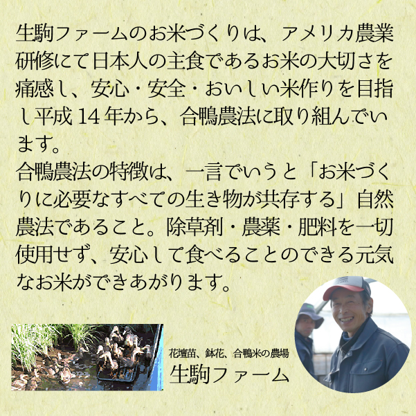 【安心安全！合鴨農法】あいがも米（精米済みヒノヒカリ）　5kg（新米 米 お米 精米 ヒノヒカリ 合鴨農法 無農薬）