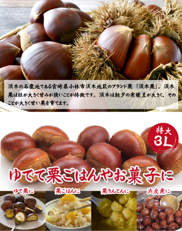 【先行予約】ブランド栗「須木栗」3Lサイズ 1kg程度（生栗 マロン 栗 果物 フルーツ 限定 秋 旬）ブランド栗「須木栗」3Lサイズ 1kg程度（生栗 マロン 栗 果物 フルーツ 限定 秋 旬）