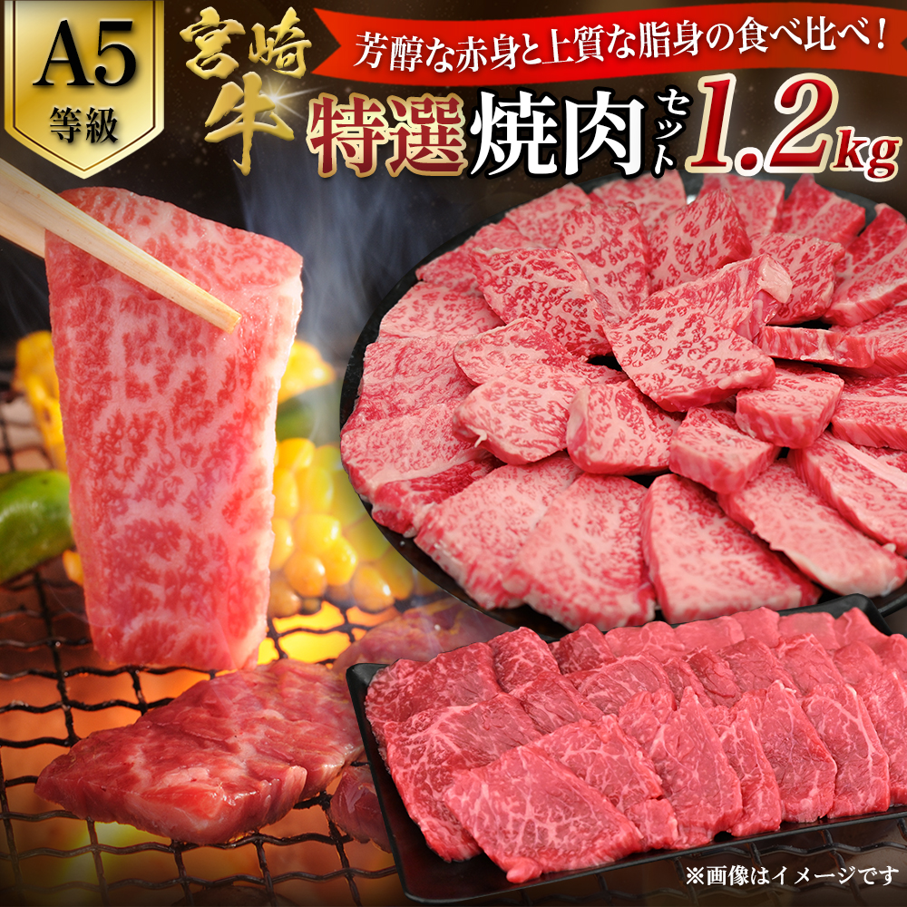 【A5等級】宮崎牛 特選焼肉セット 計1.2kg（赤身・霜降り） 宮崎牛 ブランド牛 和牛 牛肉 焼肉 特選和牛 霜降り A5 宮崎県 小林市