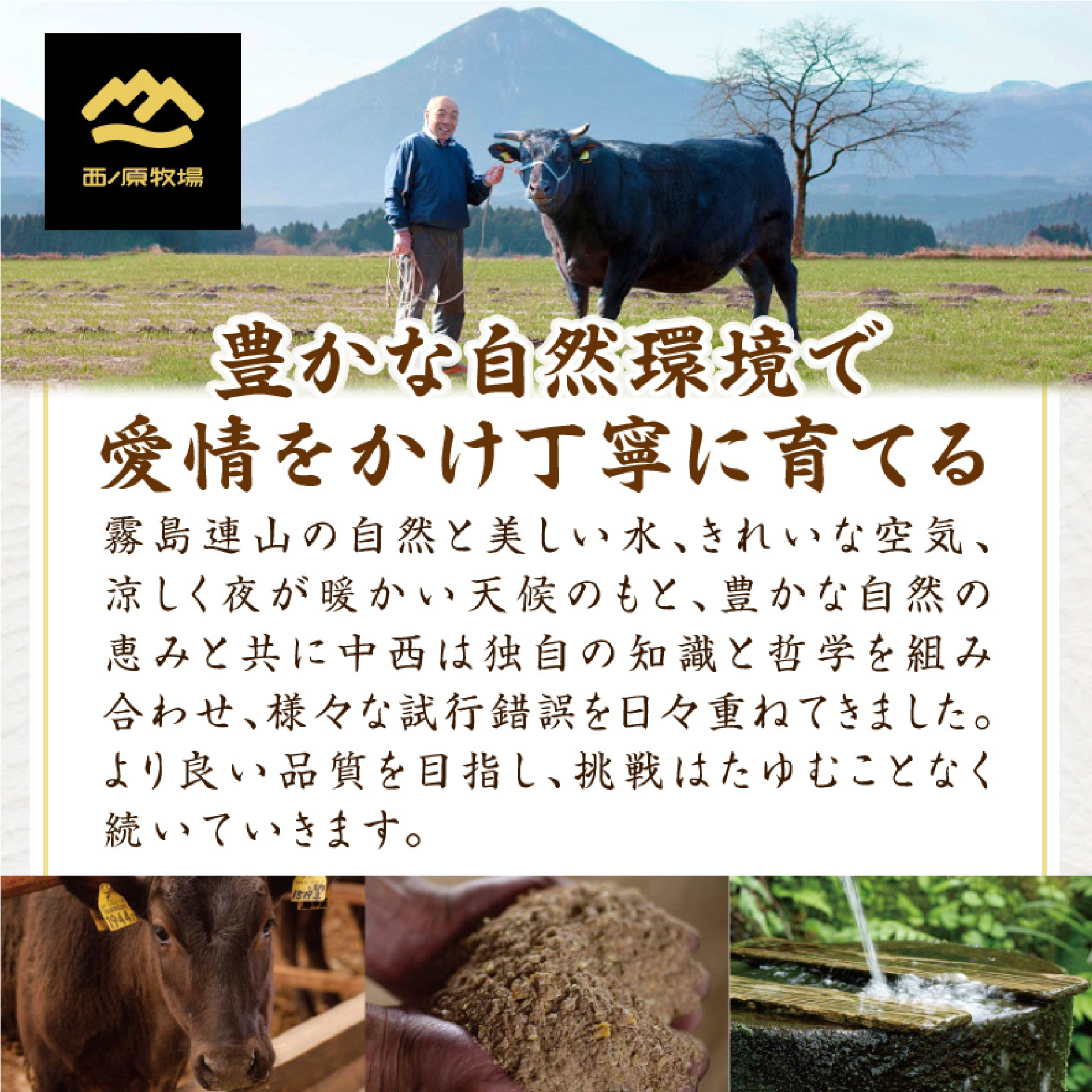 宮崎県西ノ原牧場・なかにし和牛訳あり不揃い切り落とし焼肉 400g（国産 牛肉 肉 宮崎牛 黒毛和牛 お肉 切り落とし なかにし和牛 焼肉 人気 訳あり 不揃い ）