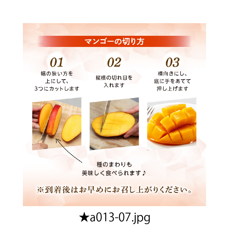 【先行予約！マンゴー定期便・全2回】小林市産「完熟マンゴー」コース(5月,6月）定期便 フルーツ フルーツ定期便 2025 マンゴー 先行予約 宮崎 果物 人気