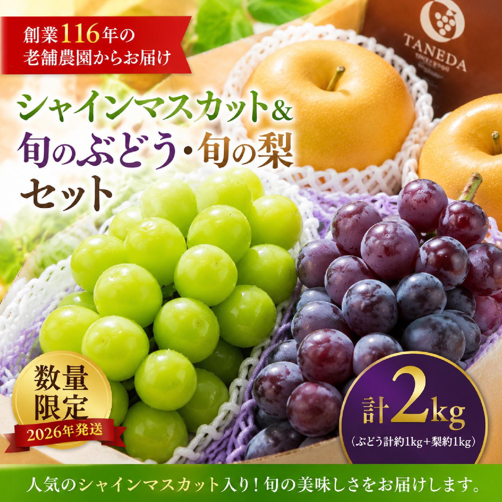 シャインマスカット等と旬の梨セット計2kg（フルーツ 果物 くだもの シャインマスカット ブドウ 2026 贈答用 プレゼント 限定） ANA名称