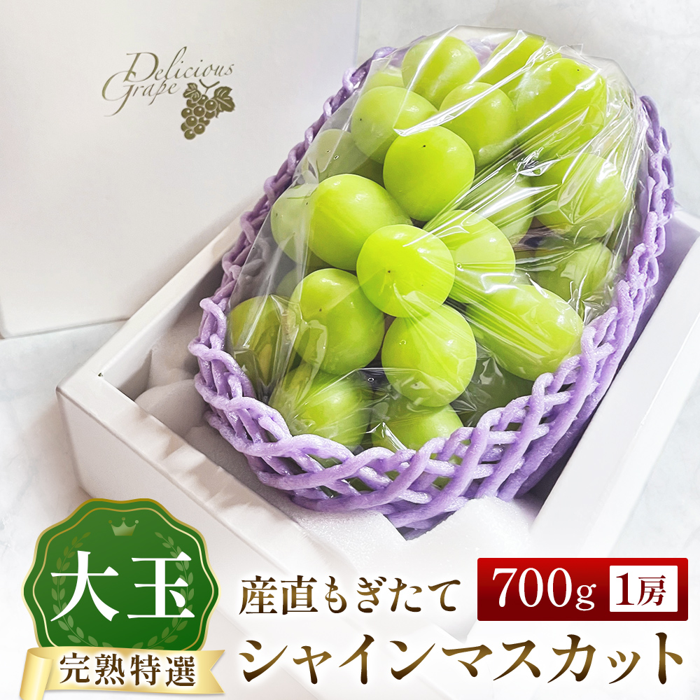 大玉 シャインマスカット 700g（ぶどう ブドウ シャインマスカット シャイン マスカット フルーツ 果物 くだもの 旬 2026 産地直送 限定）