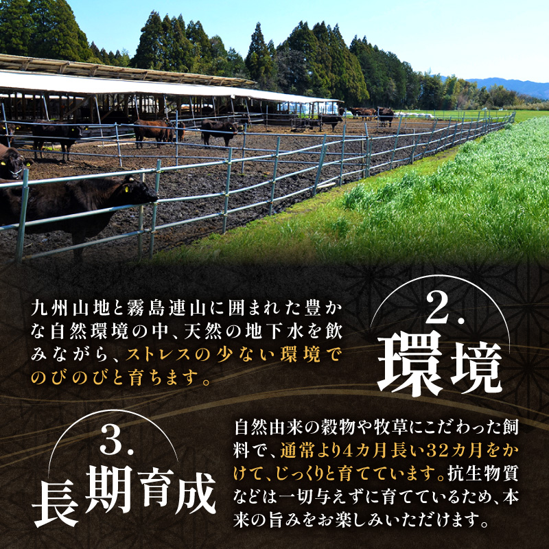 【プレミアムシリーズ】厳選宮崎牛メス指定Ａ５等級モモステーキ 300ｇ（国産 牛肉 国産牛 和牛 黒毛和牛 宮崎牛 赤身 モモ ステーキ 焼肉）