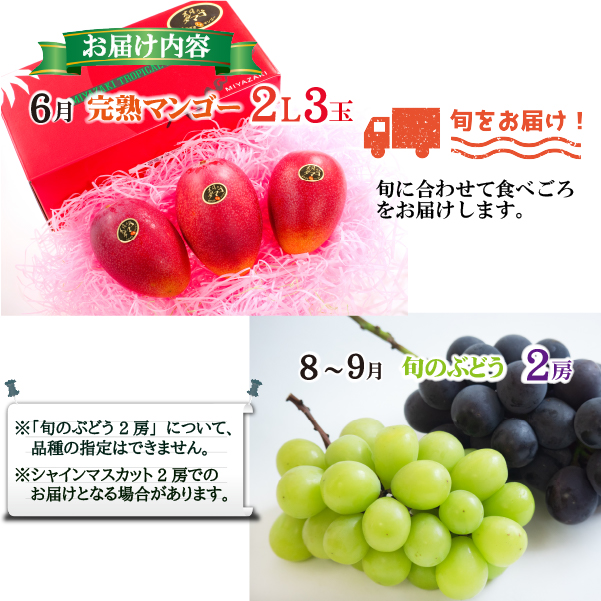 【全2回・フルーツ定期便】小林市産 完熟マンゴー＆旬のぶどう 定期便（フルーツ マンゴー ブドウ シャインマスカット 果物 定期便 宮崎）