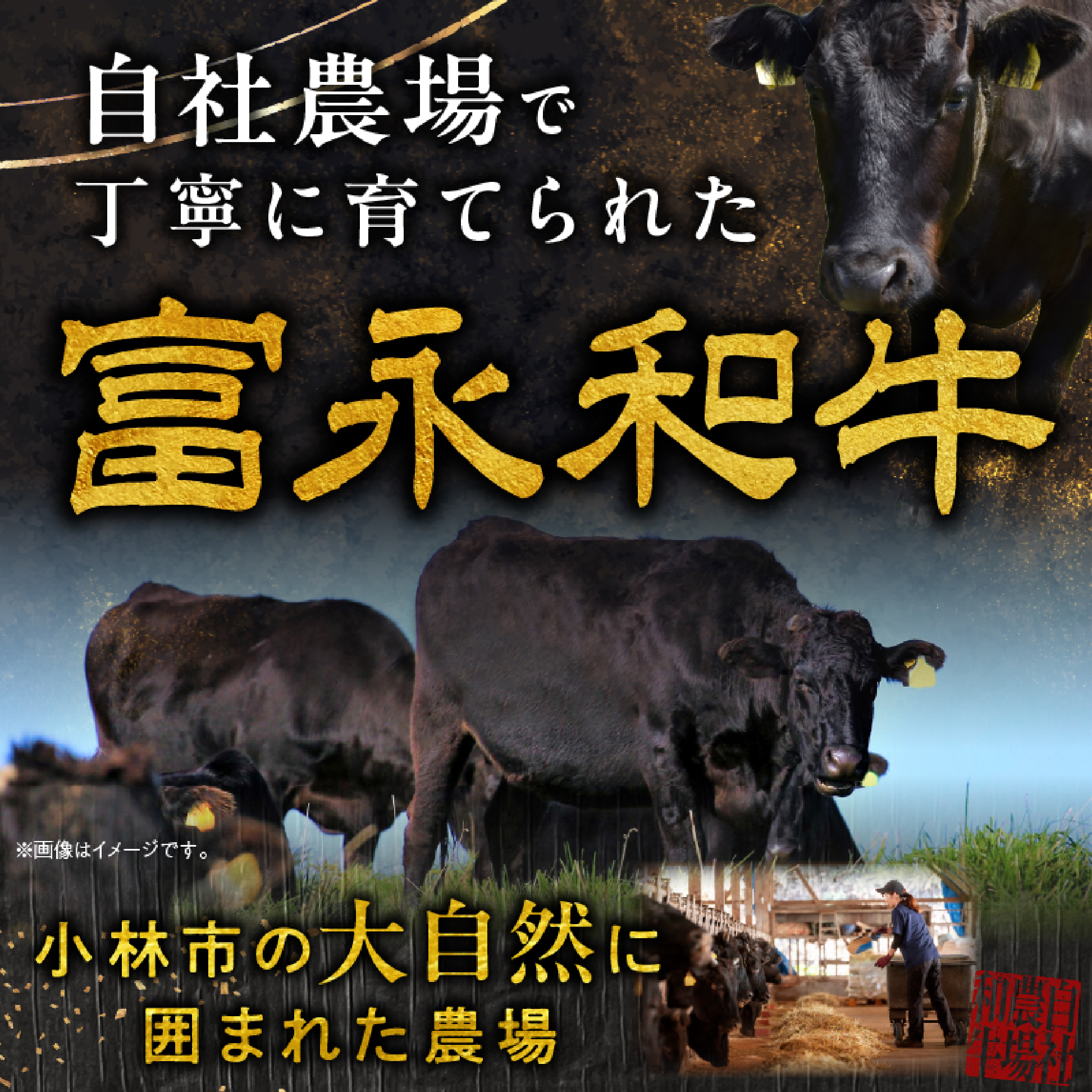 【自社農場和牛】黒毛和牛 切り落とし1kg（黒毛和牛 牛肉 切り落とし 切落し 訳あり 赤身 霜降り）