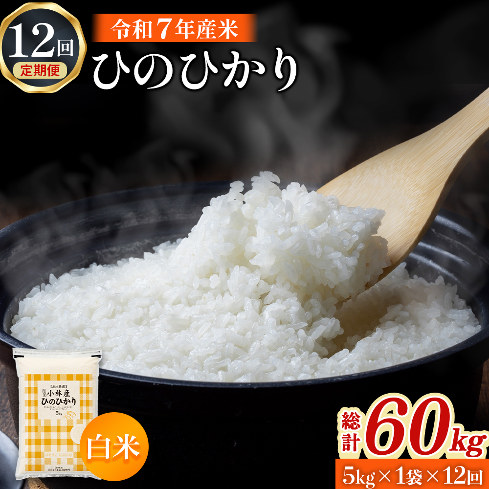 【令和7年産米】ヒノヒカリ 5kg×12回 お米 米 ヒノヒカリ ひのひかり 定期便 国産 人気 お弁当 おにぎり 宮崎県 小林市