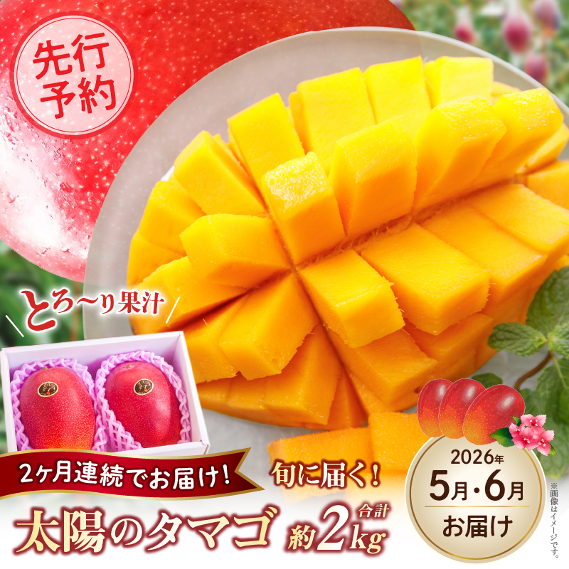 【先行予約！マンゴー定期便・全2回】小林市産 完熟マンゴー 「太陽のタマゴ」コース（定期便 フルーツ フルーツ定期便 2025 マンゴー 先行予約 太陽のタマゴ 宮崎 小林市 果物 人気）