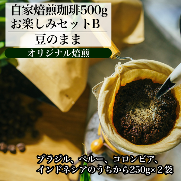 【オリジナル焙煎】自家焙煎珈琲500ｇお楽しみセット　B　（豆）