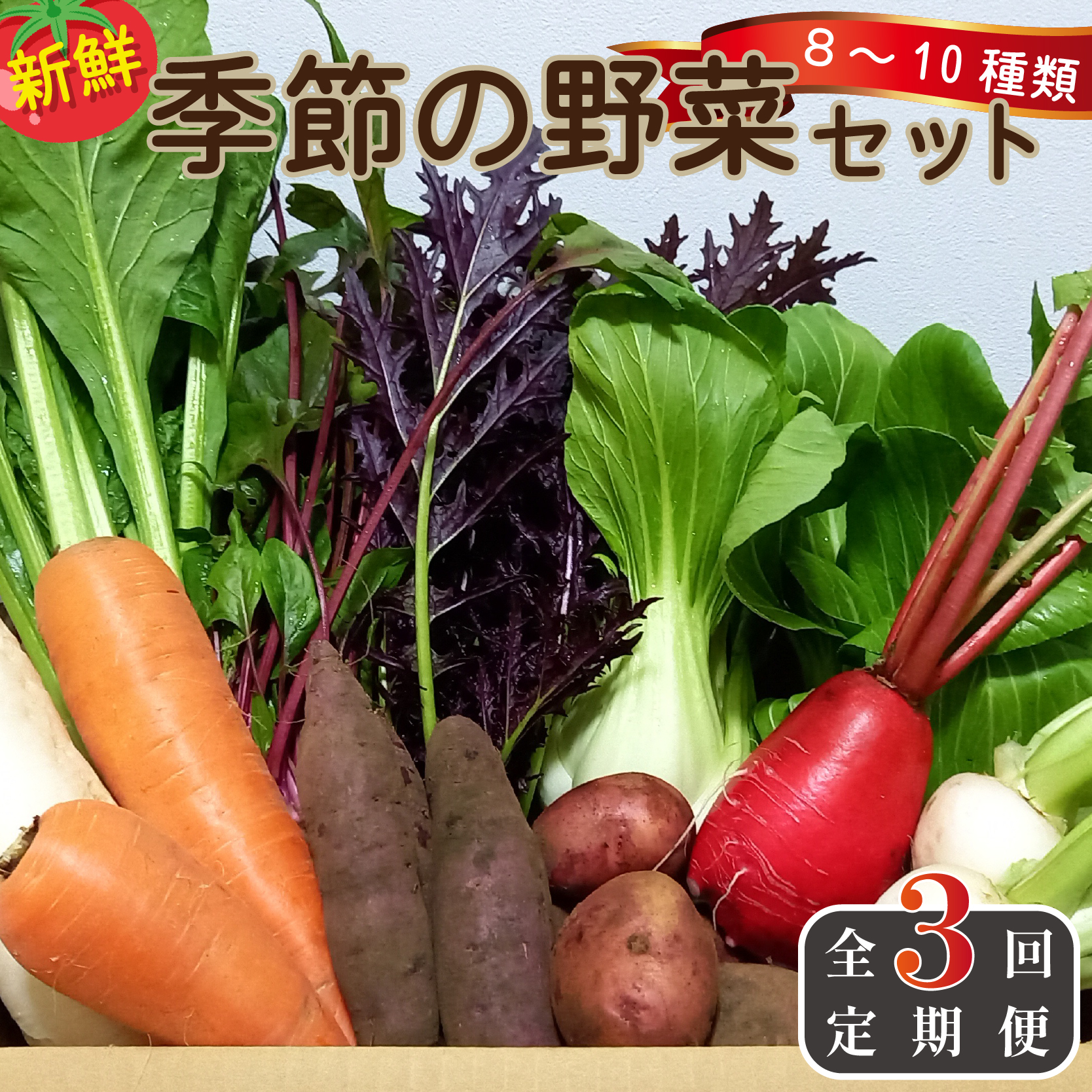 【定期便 全3回】季節の野菜詰め合わせセット（全3回×8~10種類） 野菜 定期便 やさい 定期便 野菜セット やさいセット 春野菜 夏野菜 秋野菜 冬野菜 旬