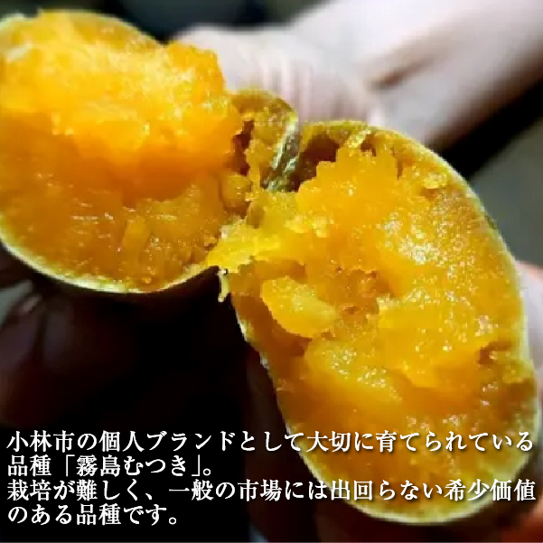 【希少品種】小林市産さつまいも「霧島むつき」3.5kg（さつま芋 希少 旬 訳あり 家庭用 焼き芋 大学いも お菓子）