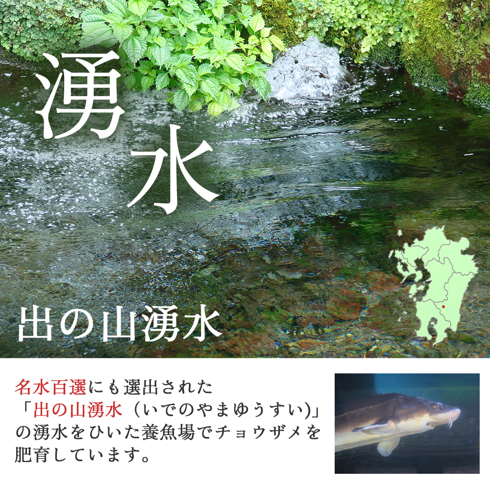 【お試しキャビア】皇帝の涙 80g 3品種からランダムで4個（オシェトラ・ホワイトスタージョン）国産 チョウザメ キャビア