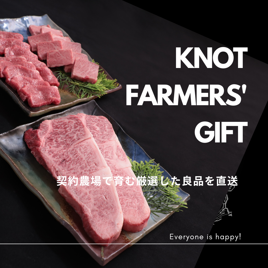 【希少部位】宮崎県産黒毛和牛 テール 1頭分 (黒毛和牛 和牛 牛肉 牛テール テール テール肉 希少部位 牛1頭分 煮込み テールスープ テールシチュー スープ)