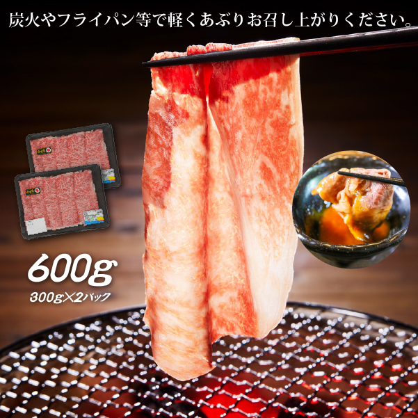 【生産者応援！】宮崎牛ロース焼きしゃぶ600g（300g×2P 宮崎牛 和牛 国産 牛肉  霜降り ロース スライス 冷凍 送料無料）