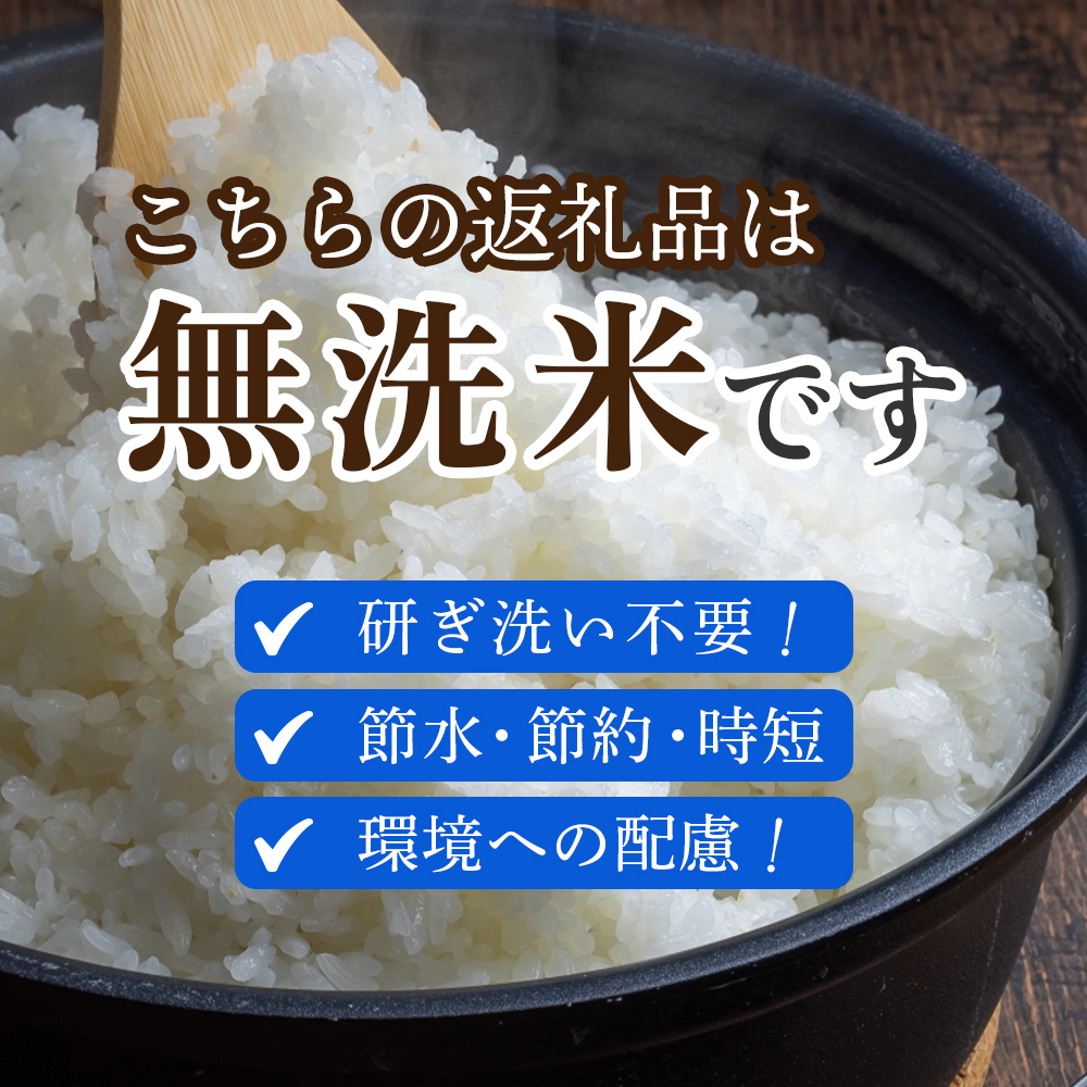 【令和7年産米】無洗米ヒノヒカリ 5kg×12回 お米 米 ヒノヒカリ 無洗米 定期便 令和7年産 国産 人気 お弁当 おにぎり 宮崎県 小林市