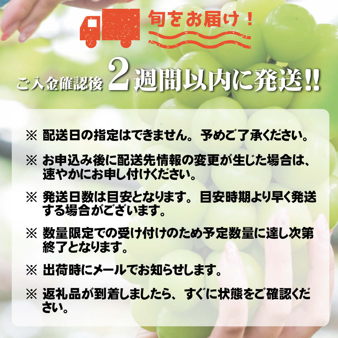 【数量限定】瀬戸ジャイアンツと梨のセット　計1.2kg（ぶどう ブドウ 梨 果物 セット 詰め合わせ フルーツ 贈答用 限定）