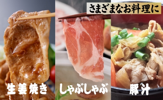【定期便・全6回】豚肉13.1kg大満足定期便（国産 豚肉 大容量 焼肉 しゃぶしゃぶ 冷凍 定期便 送料無料）