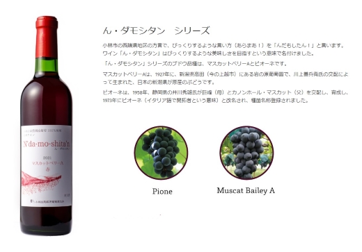 【高原のフレッシュワイン】マスカットベリーA（赤・辛口）国産 宮崎 ワイン 赤 お酒 酒 アルコール ブドウ ぶどう 赤ワイン