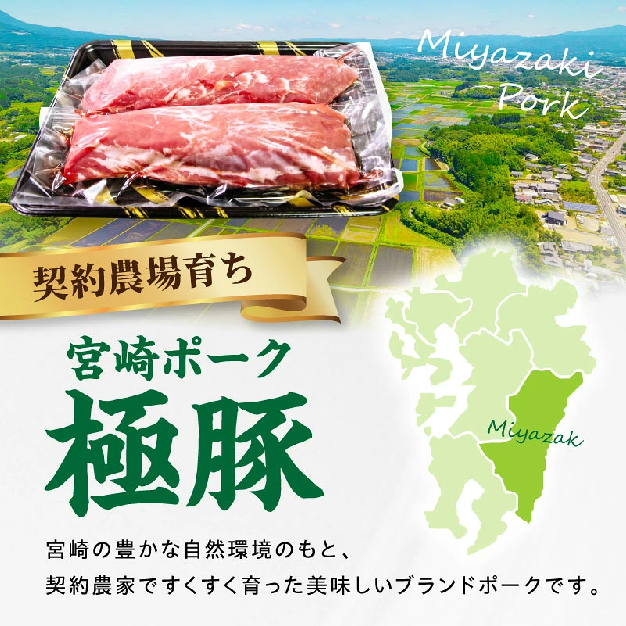 【産地直送】契約農場ですくすく育った宮崎ポーク極豚ヒレブロック　400g